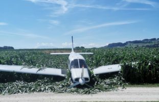 Reitnau AG - Alpenrundflug endet mit Notlandung im Maisfeld