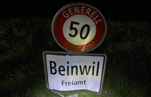 Crash mit Dorfschild in Beinwil AG