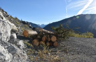 Felsberg GR - Mann (25) bei Arbeitsunfall schwer verletzt