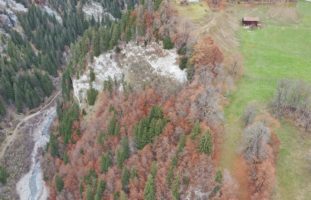 Tälfsch GR: Landwirt bei Arbeitsunfall verstorben