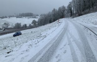 Bei Alleinunfall in Hallau steiles Wiesenboard hinuntergefahren