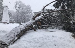 Stadtpark in St.Gallen abgesperrt