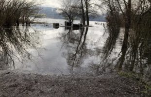 Hochwasser Greifensee Uster ZH - Folgende Orte sind zurzeit gesperrt