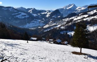 Mehrere Einbruchdiebstähle in Fanas