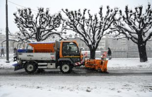 Luzern warnt vor Aufenthalt im Wald aufgrund umstürzender Bäume