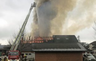 Mauensee LU: Verletzte Personen und tote Tiere bei Brand