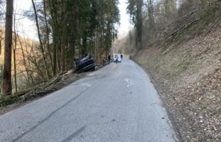 Unfall Rekingen AG: Vorbeifahrendes Auto bei Holzfällarbeiten von Baum getroffen