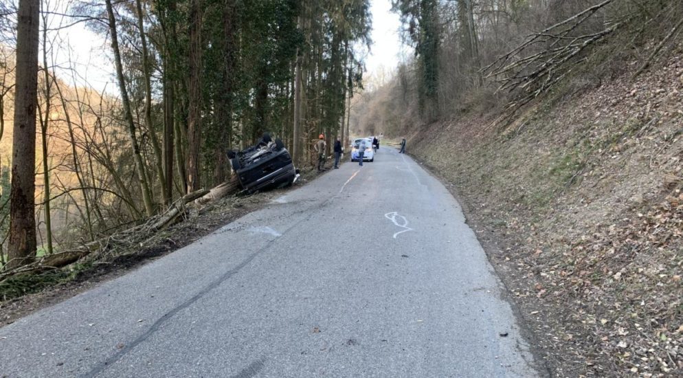 Unfall Rekingen AG: Vorbeifahrendes Auto bei Holzfällarbeiten von Baum getroffen