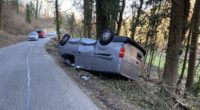 Unfall Rekingen AG: Vorbeifahrendes Auto bei Holzfällarbeiten von Baum getroffen