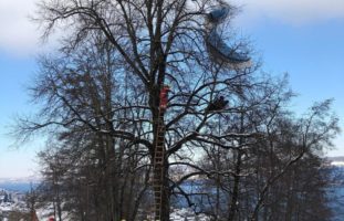 Gleitschirm-Unfall in Oberrieden ZH