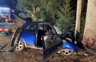 Hessigkofen SO - Fahrerin prallt gegen Baum und stirbt auf Unfallstelle