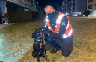 Chur GR - Stadtpolizei rettet Hund