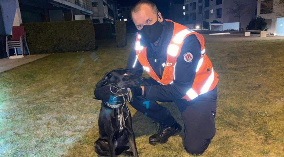 Chur GR - Stadtpolizei rettet Hund