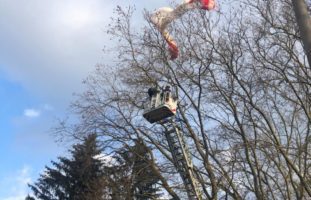 Zürich: Gleitschirmpilot (33) bleibt an Baum hängen