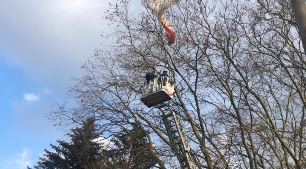 Zürich: Gleitschirmpilot (33) bleibt an Baum hängen