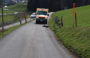 Katze läuft vors Rad - Velofahrer nach Sturz in Waldstatt AR verletzt