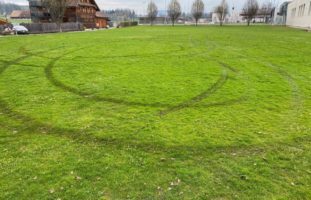 Alkoholisierter Autofahrer (19) bei Offroadfahrt in Steinhausen verunfallt