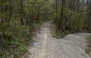 Bei Mountainbike-Unfall in Rafz schwer verletzt