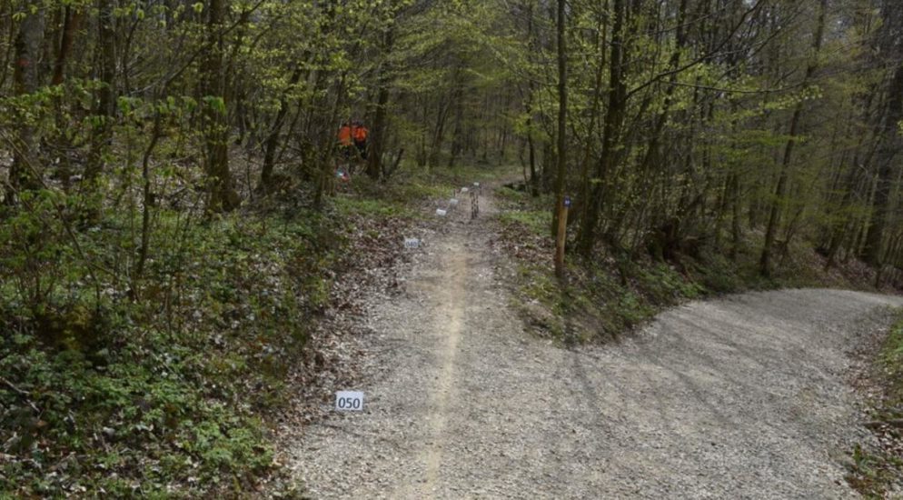 Bei Mountainbike-Unfall in Rafz schwer verletzt