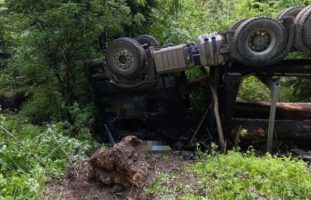 Bärschwil SO: Ein mit Rundholz beladenes Sattelmotorfahrzeug verunfallt