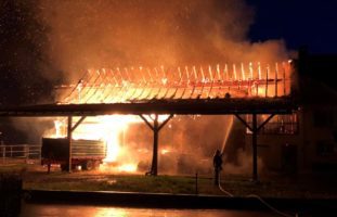 Andwil TG - Brand in Pferdestall: Mehrere hunderttausend Franken Sachschaden