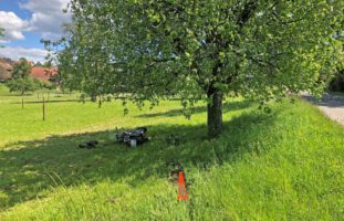 18-Jähriger prallt bei Unfall in Baum