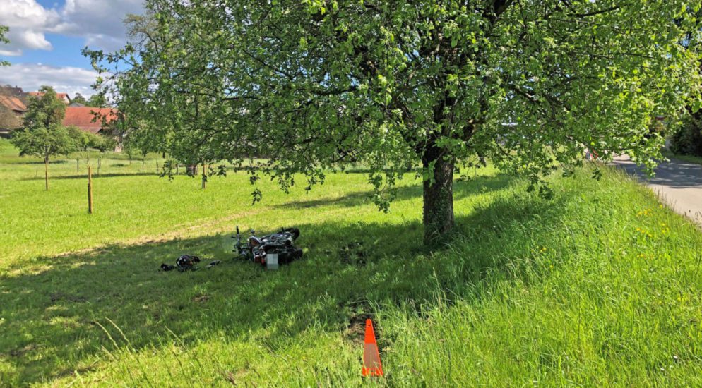 18-Jähriger prallt bei Unfall in Baum