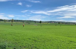 Kleinflugzeug in Oberramsern abgestürzt