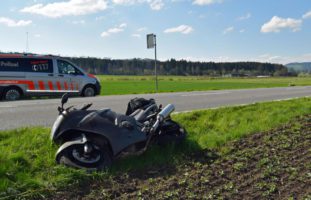 Todes Tier und verletzter Lenker bei Unfall in Neudorf LU