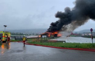 Grosser Schaden bei Brand in Dällikon