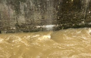 Gossau SG - Beton in Dorfbach geflossen: Fische nicht in Gefahr