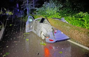 Frauenfeld TG: Baum kracht auf Auto - Lenkerin im Spital