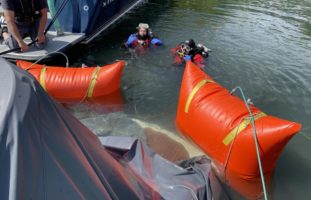 Gesunkenes Boot in Pfäffikon SZ