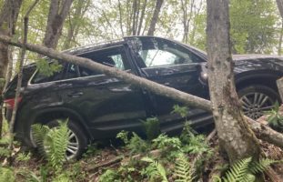 Selbstunfall auf einer Waldstrasse im Wijenegg in Matt