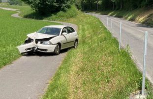 Bei Selbstunfall in Netstal mit Zaun kollidiert