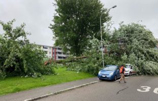 Baum stürzt auf 5 parkierte Autos und Spielplatz in Zug