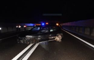 Fahrunfähiger Lenker verursacht Selbstunfall auf der A23