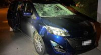 Lanzenneunforn TG - Velofahrer bei Kollision mit Auto schwer verletzt