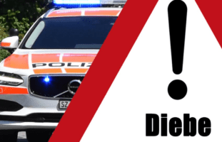 Kanton Schwyz - Autos nie unverschlossen lassen wegen Dieben