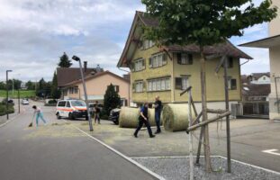 Waldkirch SG: Heuballen ungesichert transportiert